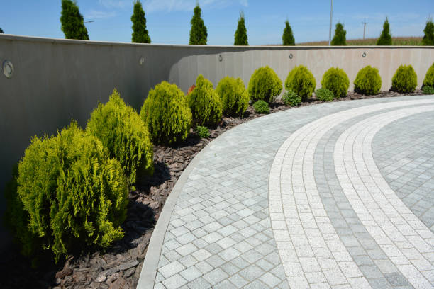 Best Driveway Paving Contractor  in Holt, MI